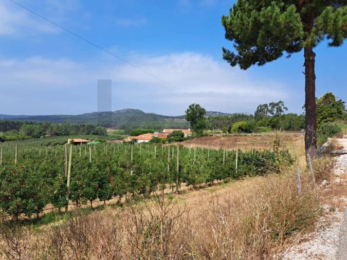 Terreno para Venda em Valado dos Frades Foto 2