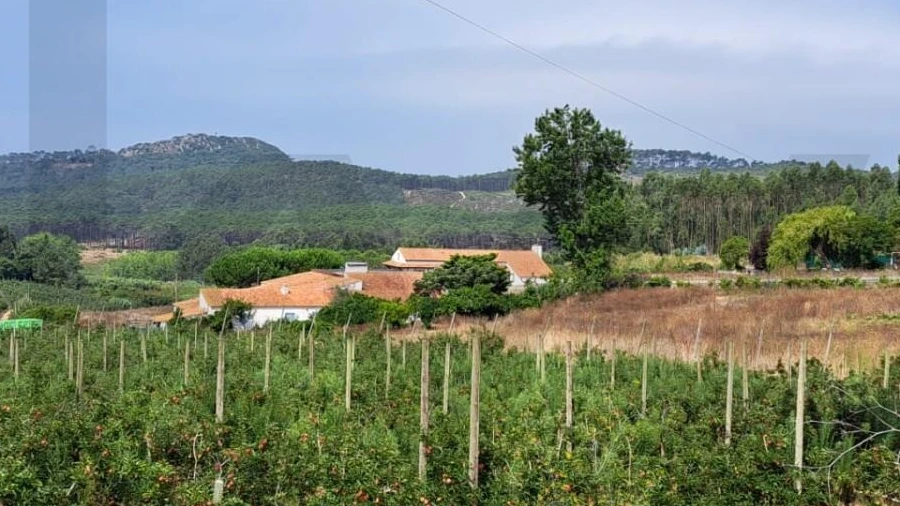 Terreno para Venda em Valado dos Frades