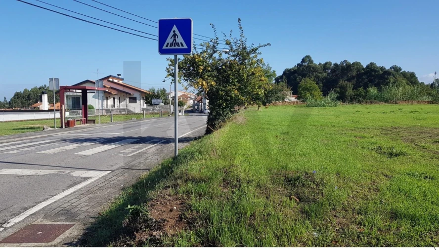 Terreno para Venda em Sangalhos
