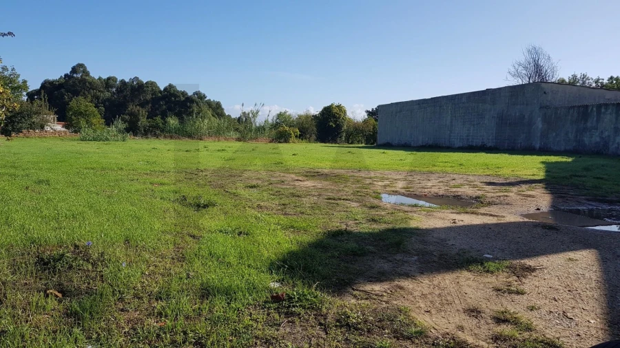 Terreno para Venda em Sangalhos Foto 2