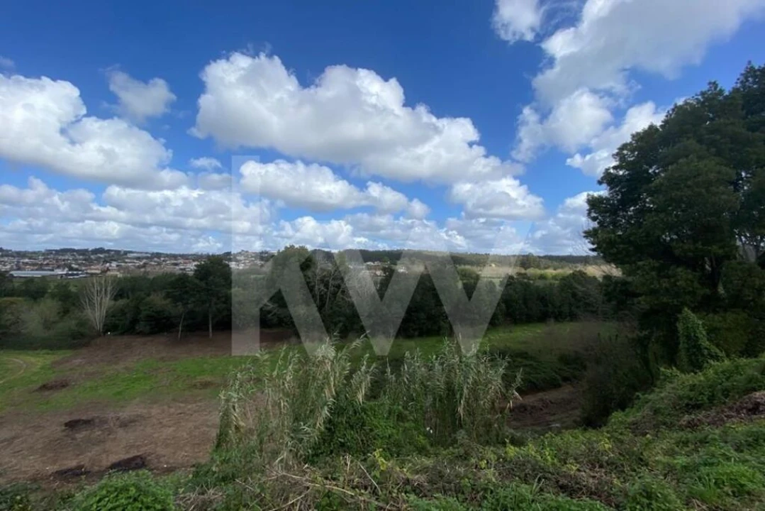 Moradia T6 para Venda em Macinhata do Vouga Foto 60