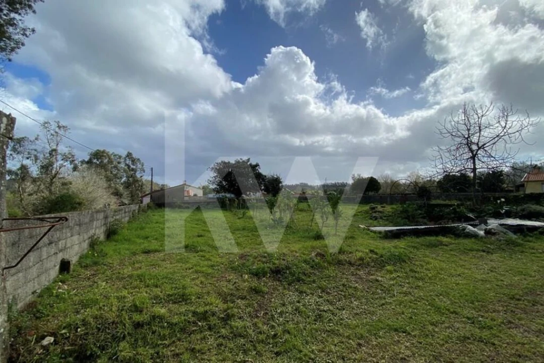 Moradia T6 para Venda em Macinhata do Vouga Foto 49