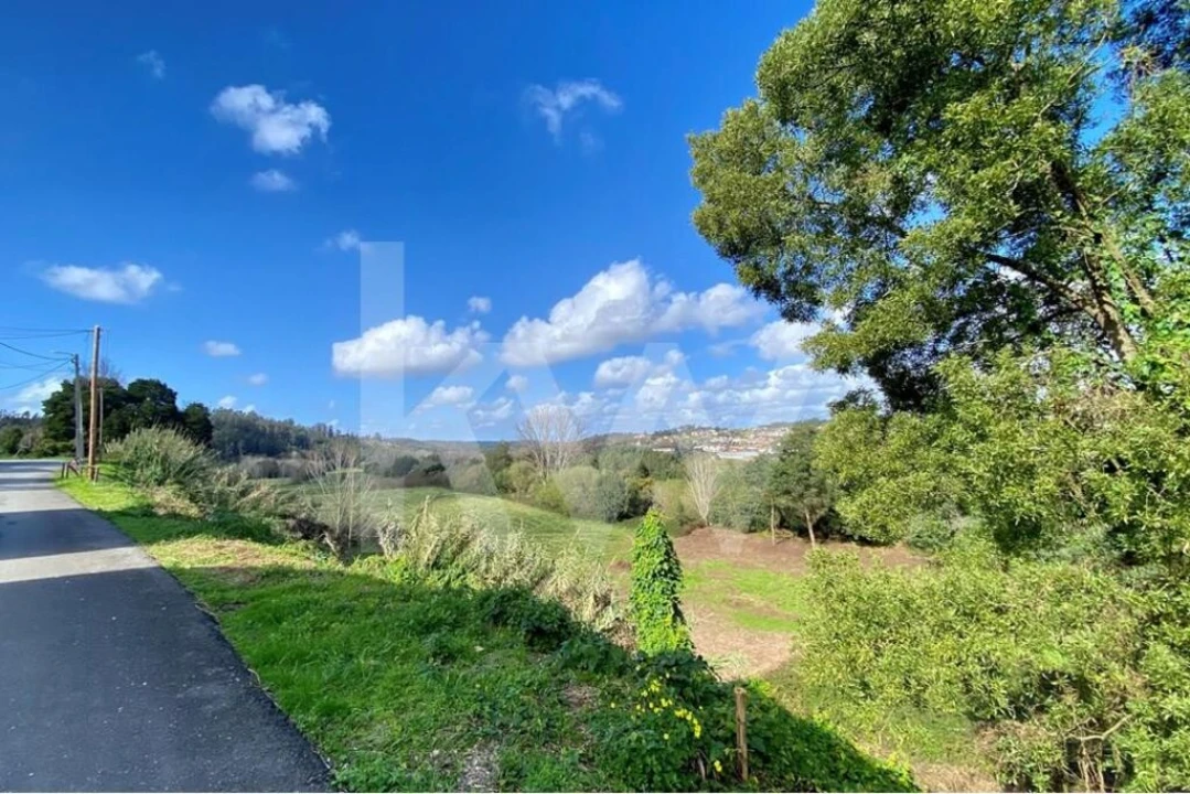 Moradia T6 para Venda em Macinhata do Vouga Foto 61