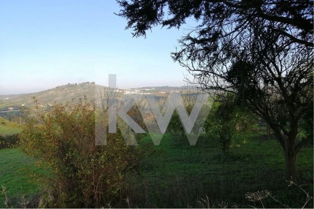 Terreno para Venda em Meca Foto 6