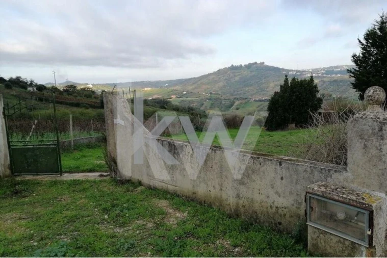 Terreno para Venda em Meca Foto 8