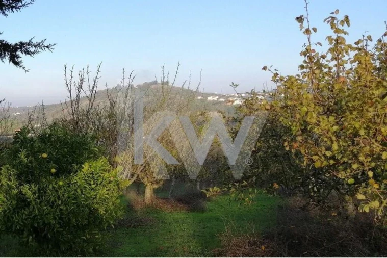 Terreno para Venda em Meca Foto 2