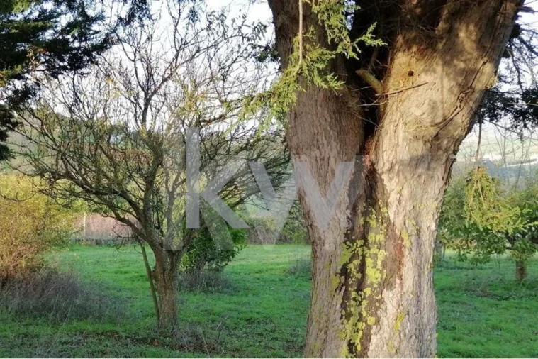 Terreno para Venda em Meca Foto 3