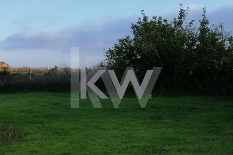 Terreno para Venda em Meca Foto 4