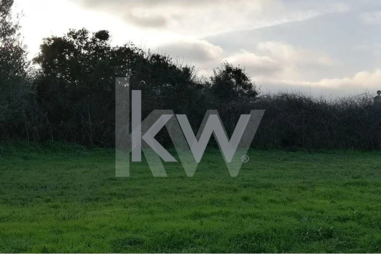 Terreno para Venda em Meca Foto 5