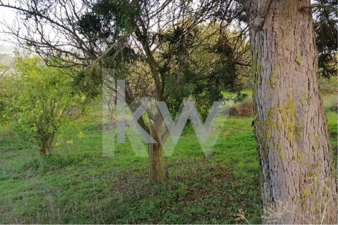 Terreno para Venda em Meca Foto 7