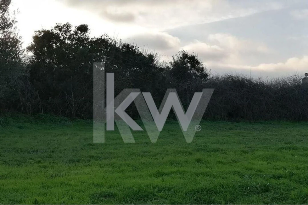 Terreno para Venda em Meca Foto 5