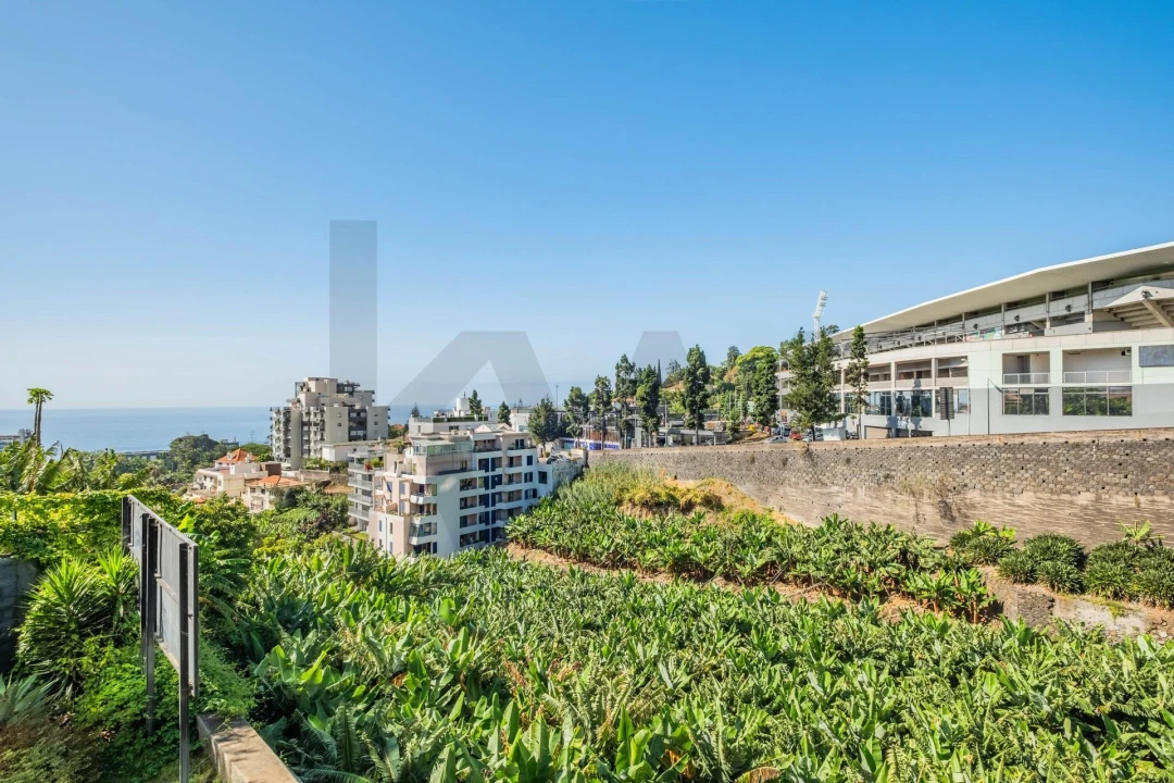 Apartamento T4 para Venda em São Martinho Foto 34