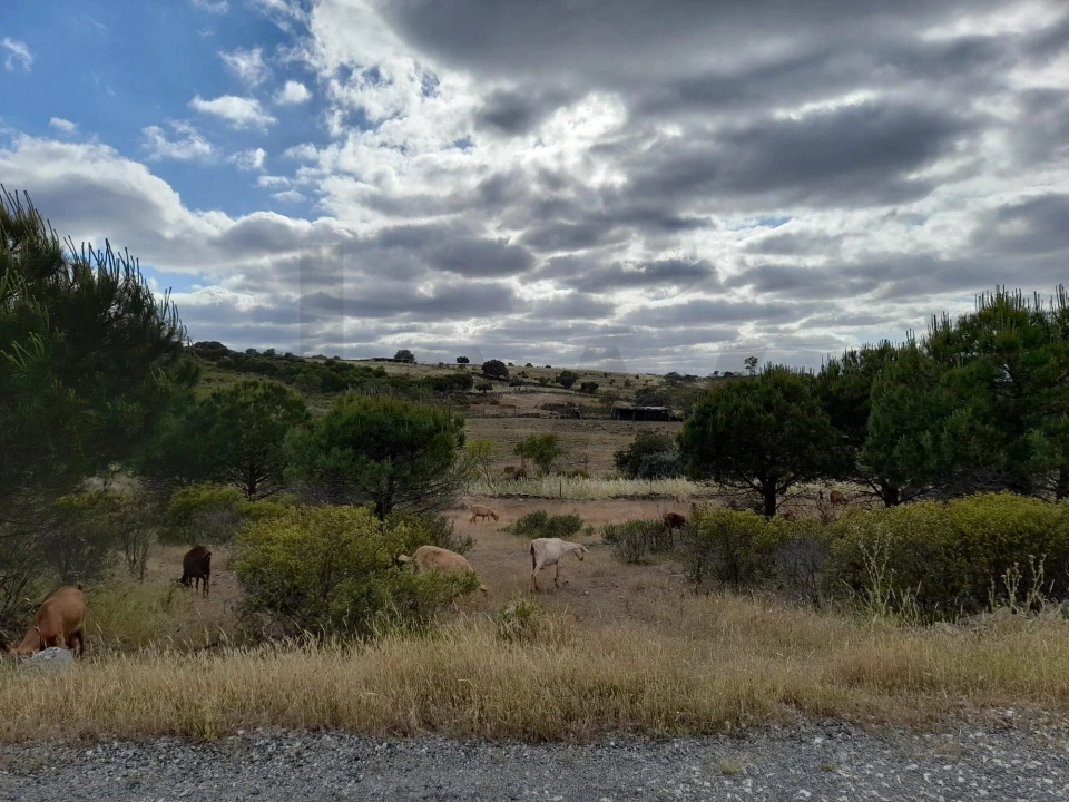 Moradia T2 para Venda em Alcoutim e Pereiro Foto 49