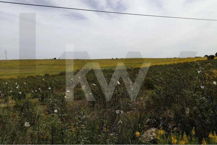 Moradia T2 para Venda em Alcoutim e Pereiro Foto 30