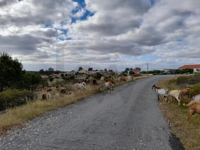 Moradia T2 para Venda em Alcoutim e Pereiro Foto 52