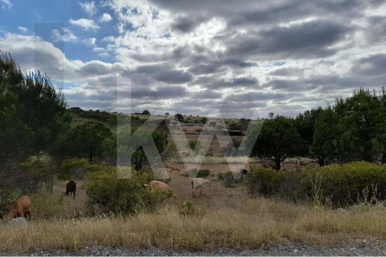 Moradia T2 para Venda em Alcoutim e Pereiro Foto 46