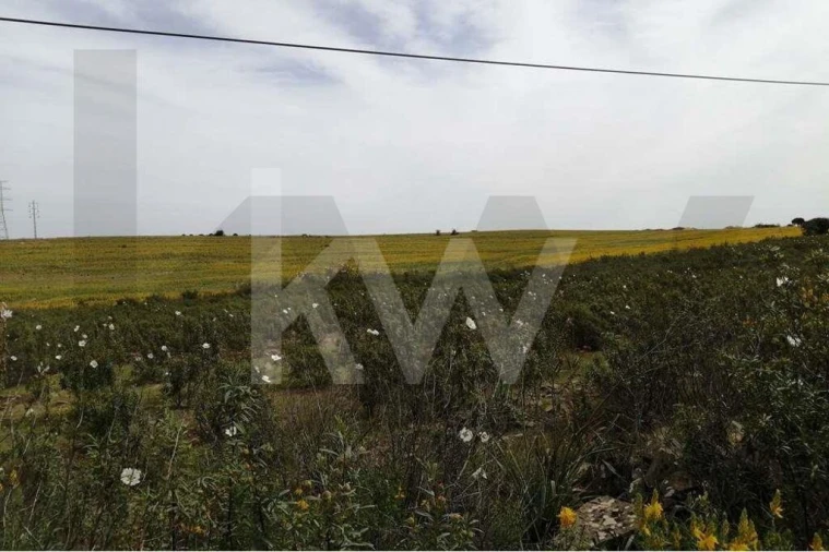 Moradia T2 para Venda em Alcoutim e Pereiro Foto 32