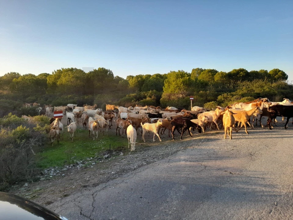Moradia T2 para Venda em Alcoutim e Pereiro Foto 56