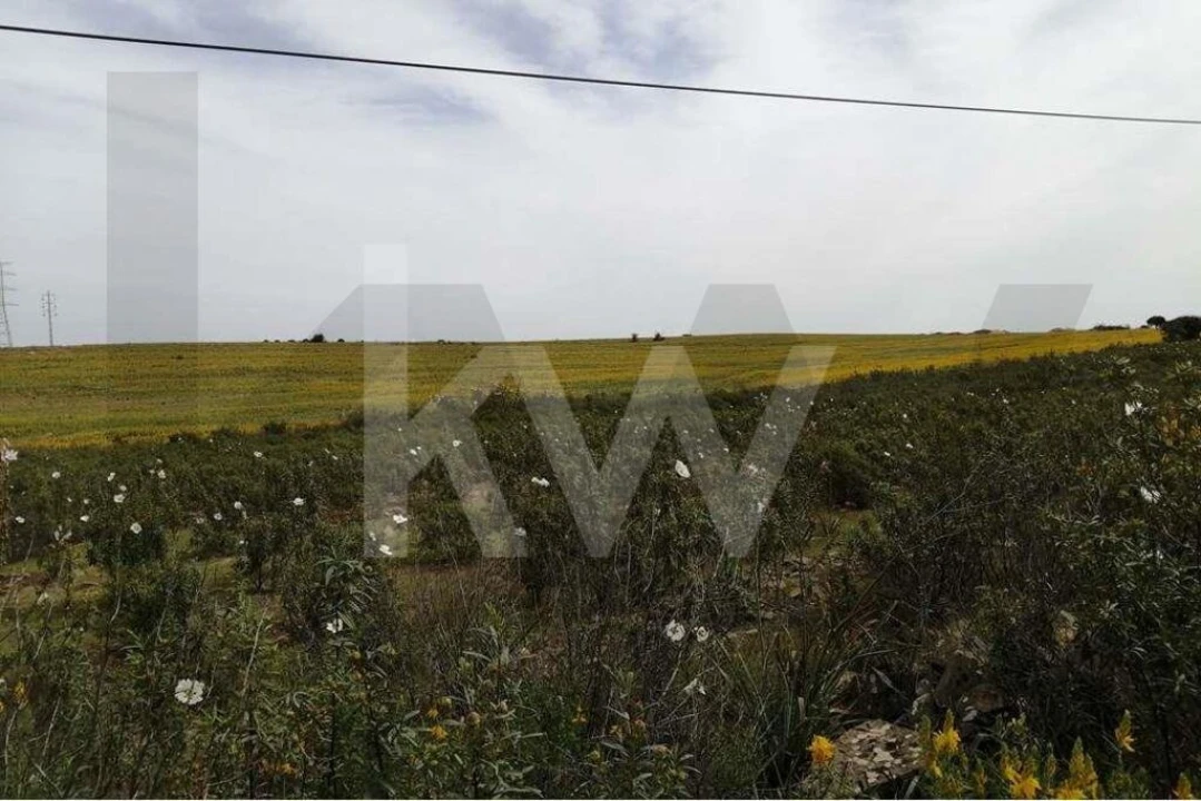 Moradia T2 para Venda em Alcoutim e Pereiro Foto 32