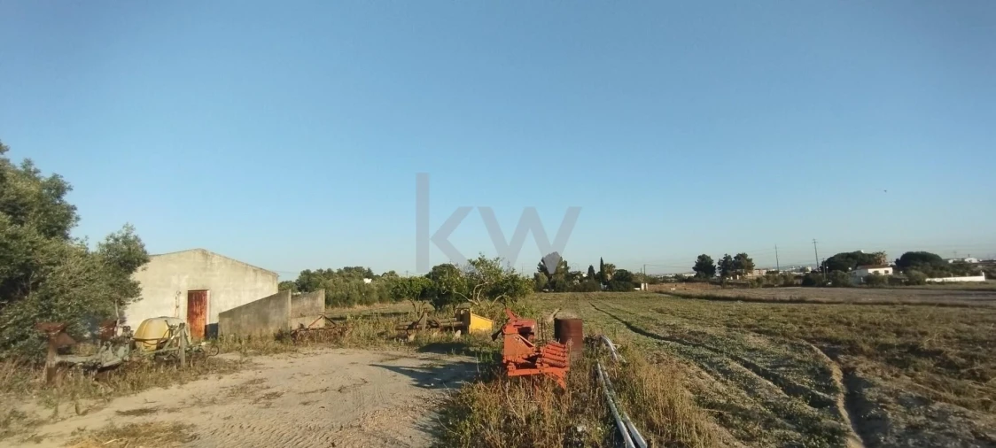 Terreno para Venda em São Francisco
