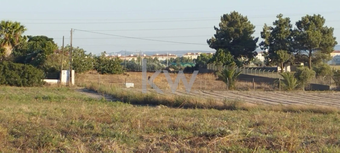 Terreno para Venda em São Francisco Foto 4