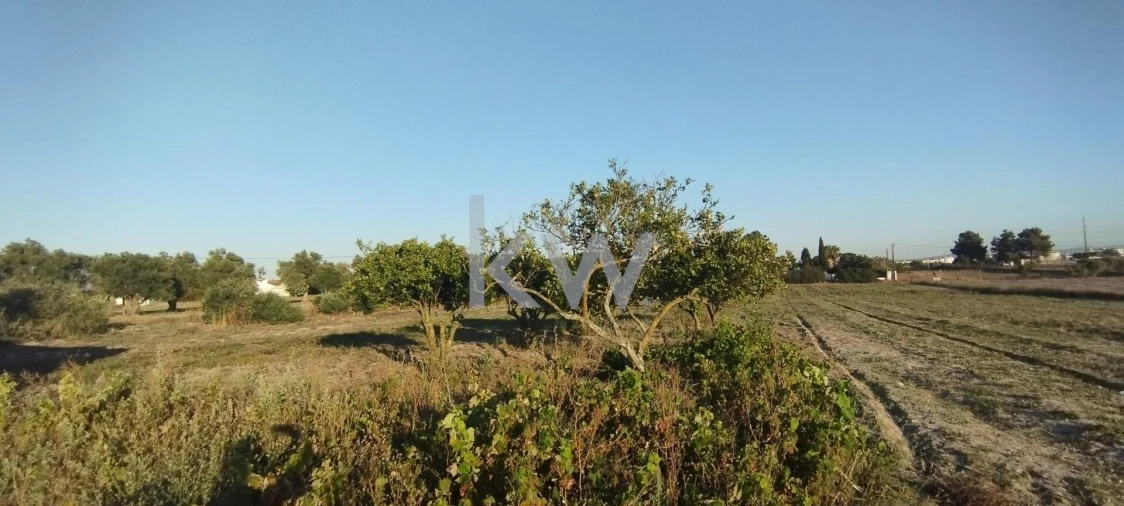 Terreno para Venda em São Francisco Foto 2