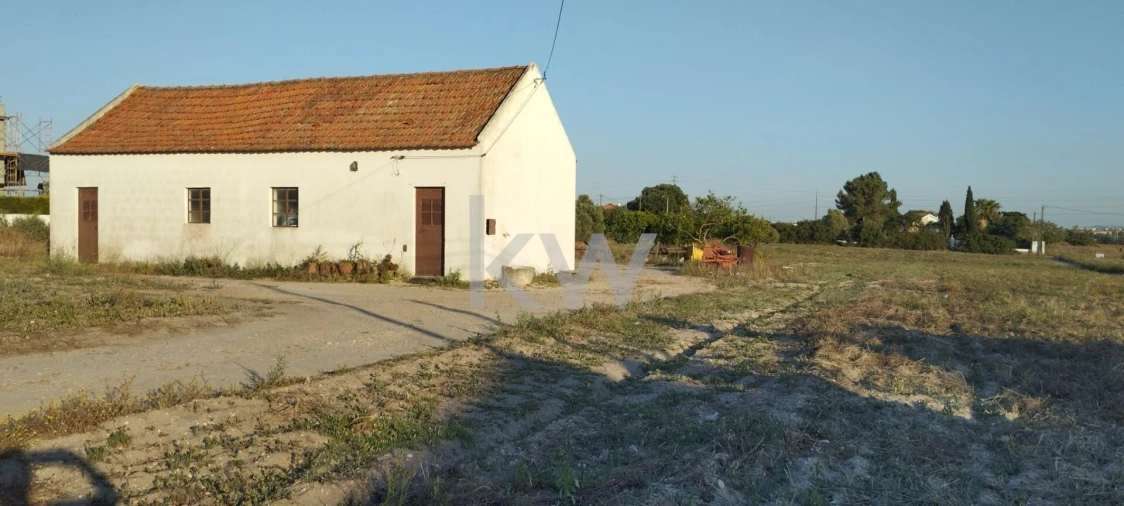 Terreno para Venda em São Francisco Foto 3