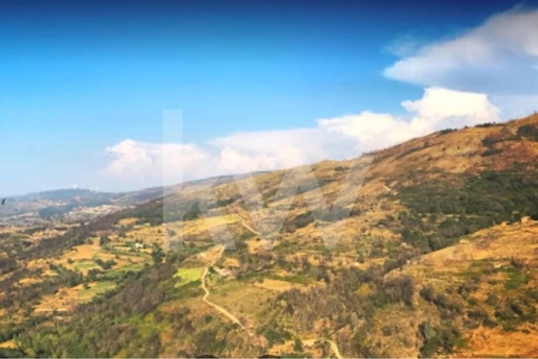 Terreno para Venda em Melo e Nabais Foto 4