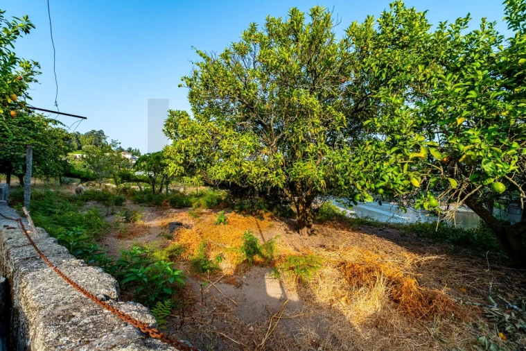 Quinta T3 para Venda em Alpendorada, Várzea e Torrão Foto 30