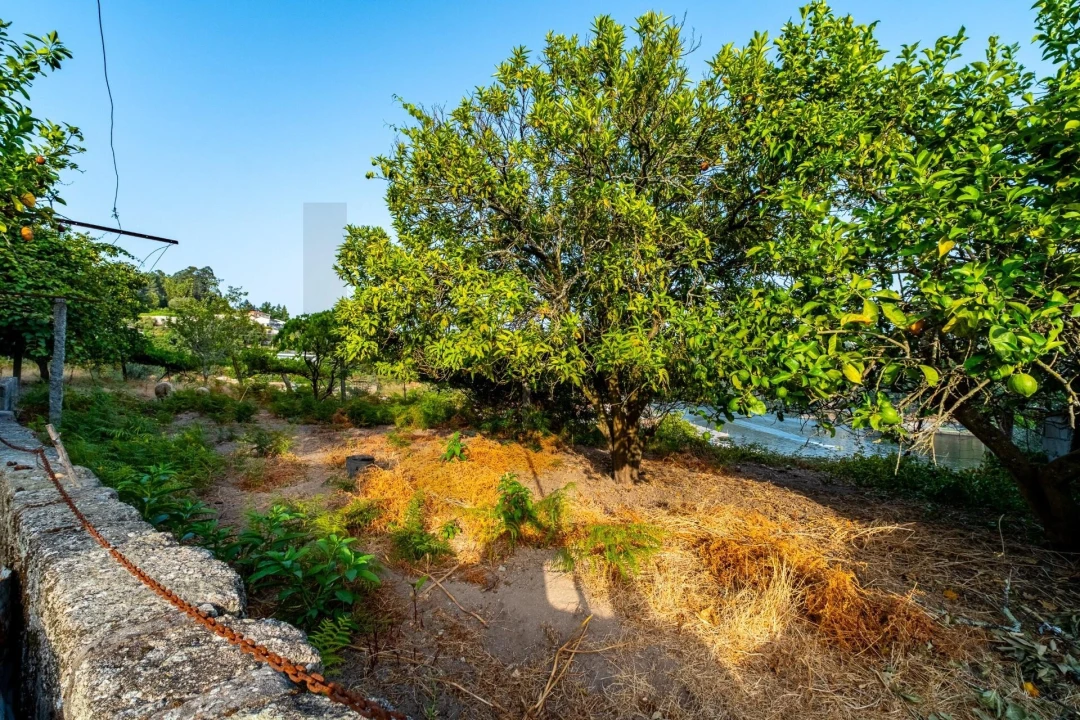 Quinta T3 para Venda em Alpendorada, Várzea e Torrão Foto 30