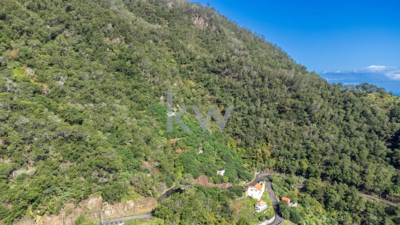 Terreno para Venda em São Roque do Faial Foto 17