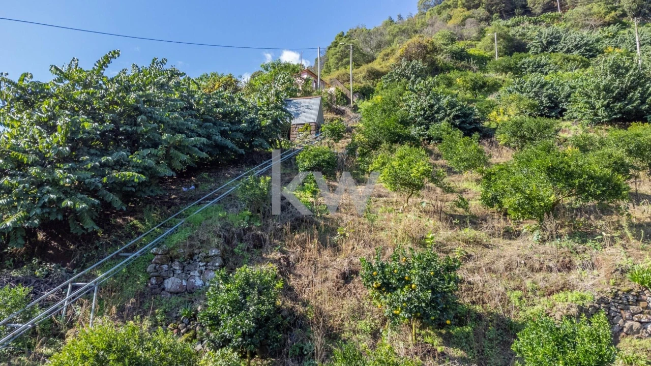 Terreno para Venda em São Roque do Faial Foto 23