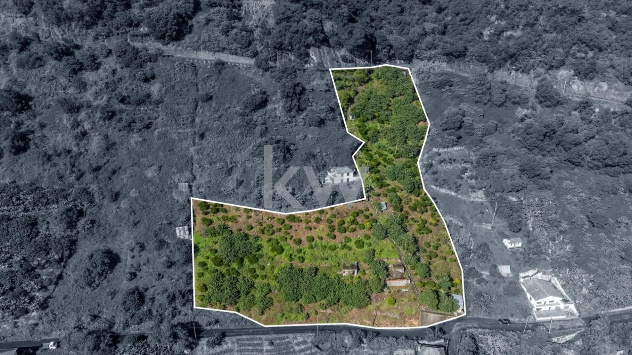 Terreno para Venda em São Roque do Faial Foto 2