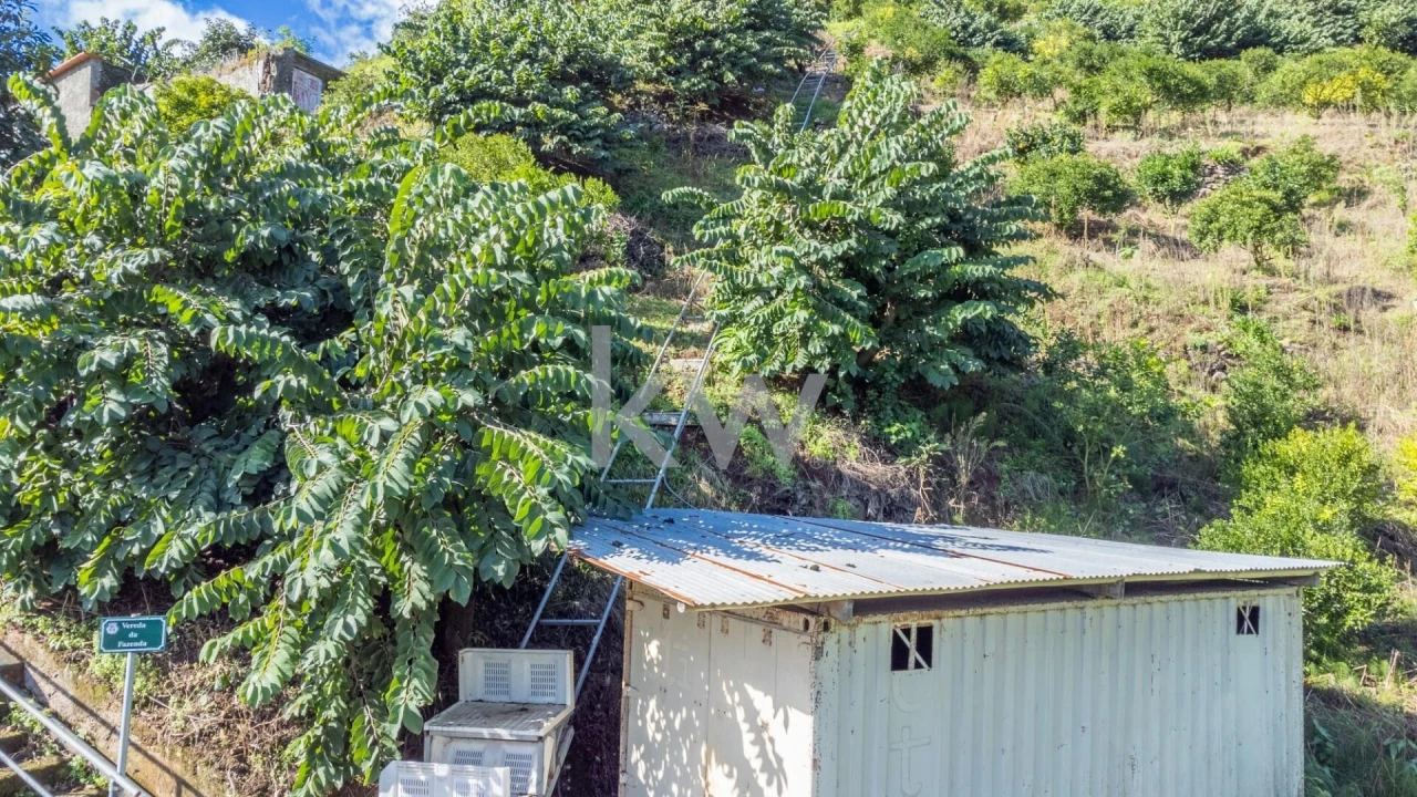 Terreno para Venda em São Roque do Faial Foto 19
