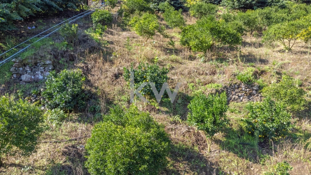 Terreno para Venda em São Roque do Faial Foto 22