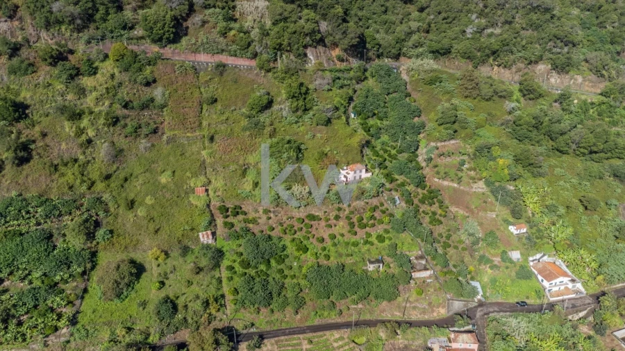 Terreno para Venda em São Roque do Faial Foto 7