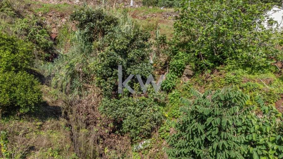Terreno para Venda em São Roque do Faial Foto 20