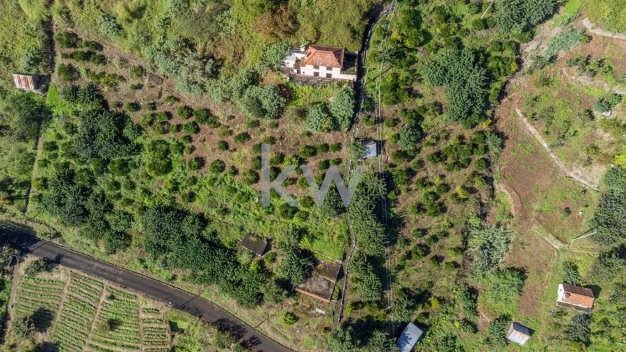 Terreno para Venda em São Roque do Faial Foto 10