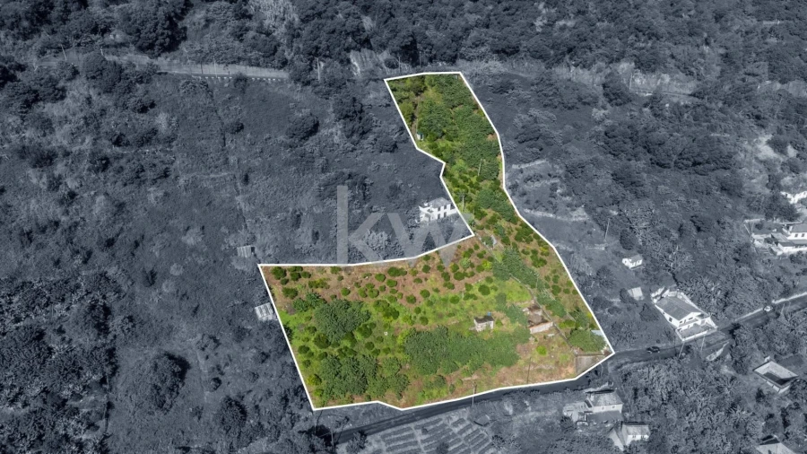 Terreno para Venda em São Roque do Faial Foto 6