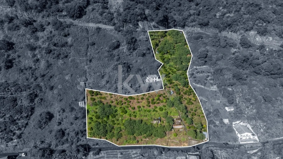 Terreno para Venda em São Roque do Faial Foto 2