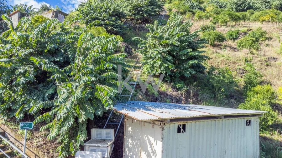 Terreno para Venda em São Roque do Faial Foto 19