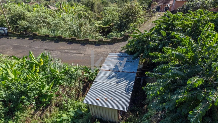 Terreno para Venda em São Roque do Faial Foto 24