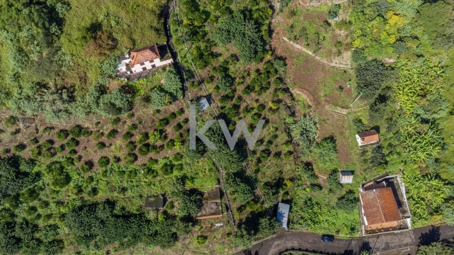 Terreno para Venda em São Roque do Faial Foto 9