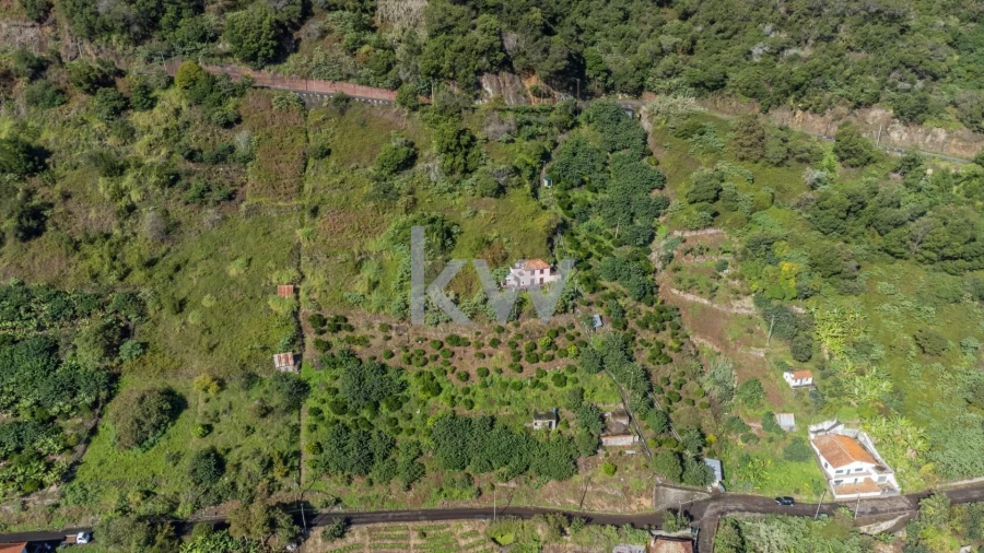 Terreno para Venda em São Roque do Faial Foto 1