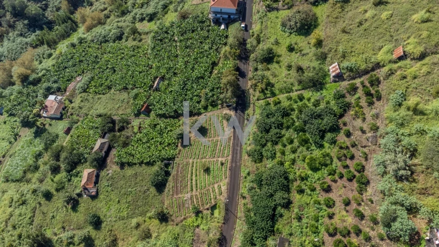 Terreno para Venda em São Roque do Faial Foto 11