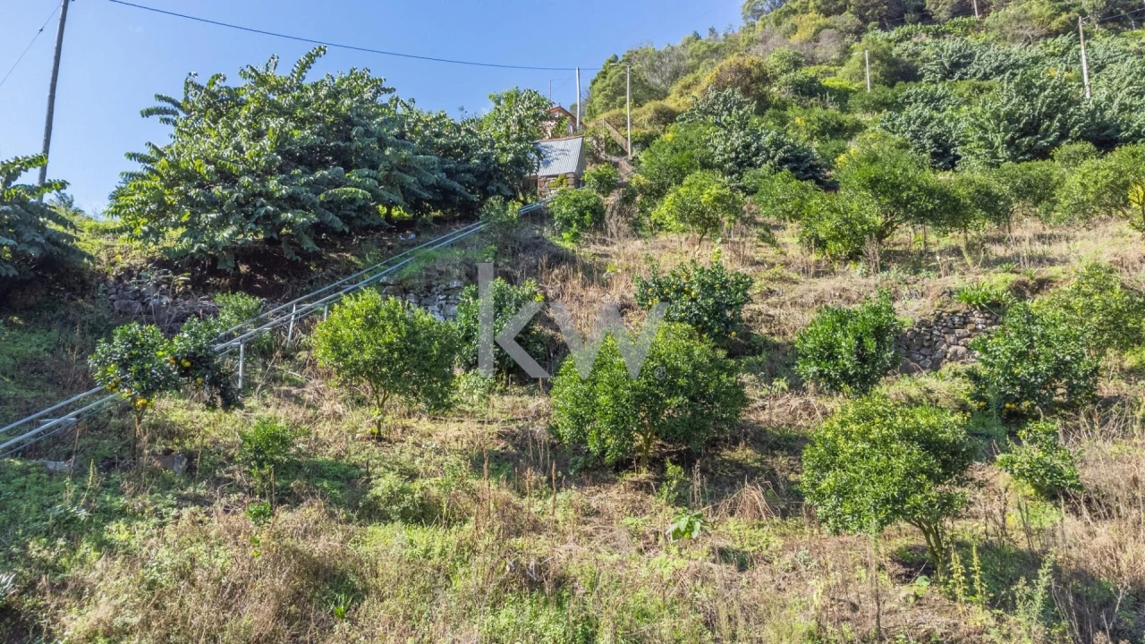 Terreno para Venda em São Roque do Faial Foto 21