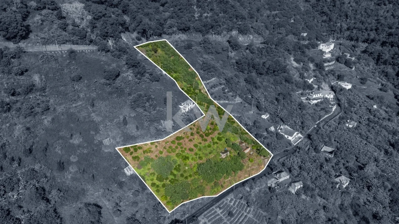 Terreno para Venda em São Roque do Faial Foto 4