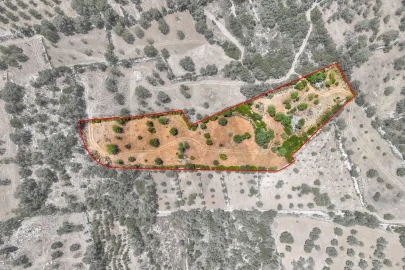 Terreno para Venda em Conceição e Estoi