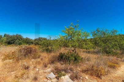 Terreno para Venda em Conceição e Estoi