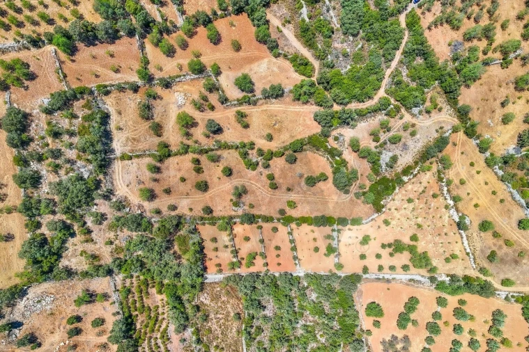 Terreno para Venda em Conceição e Estoi Foto 13
